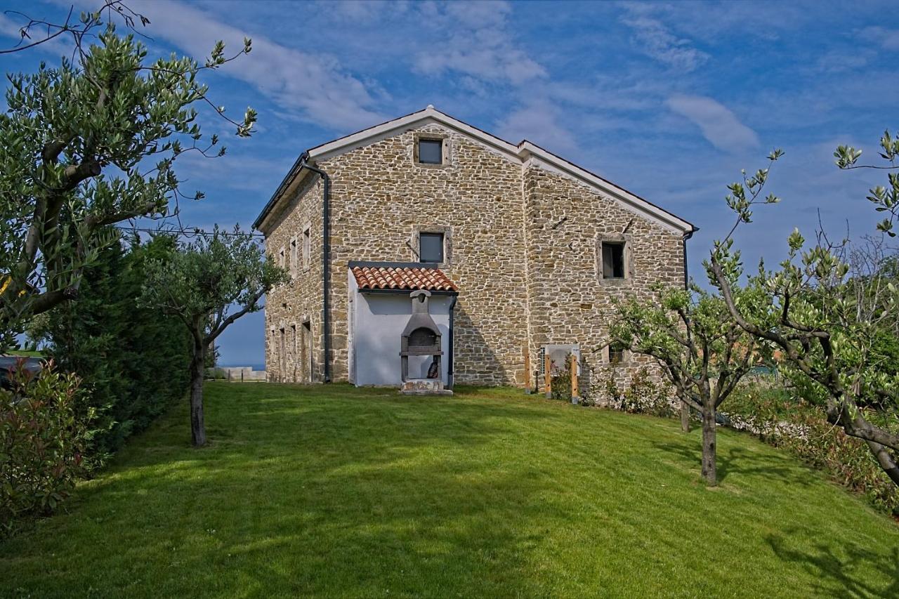 Villa Carica Krasica  Extérieur photo